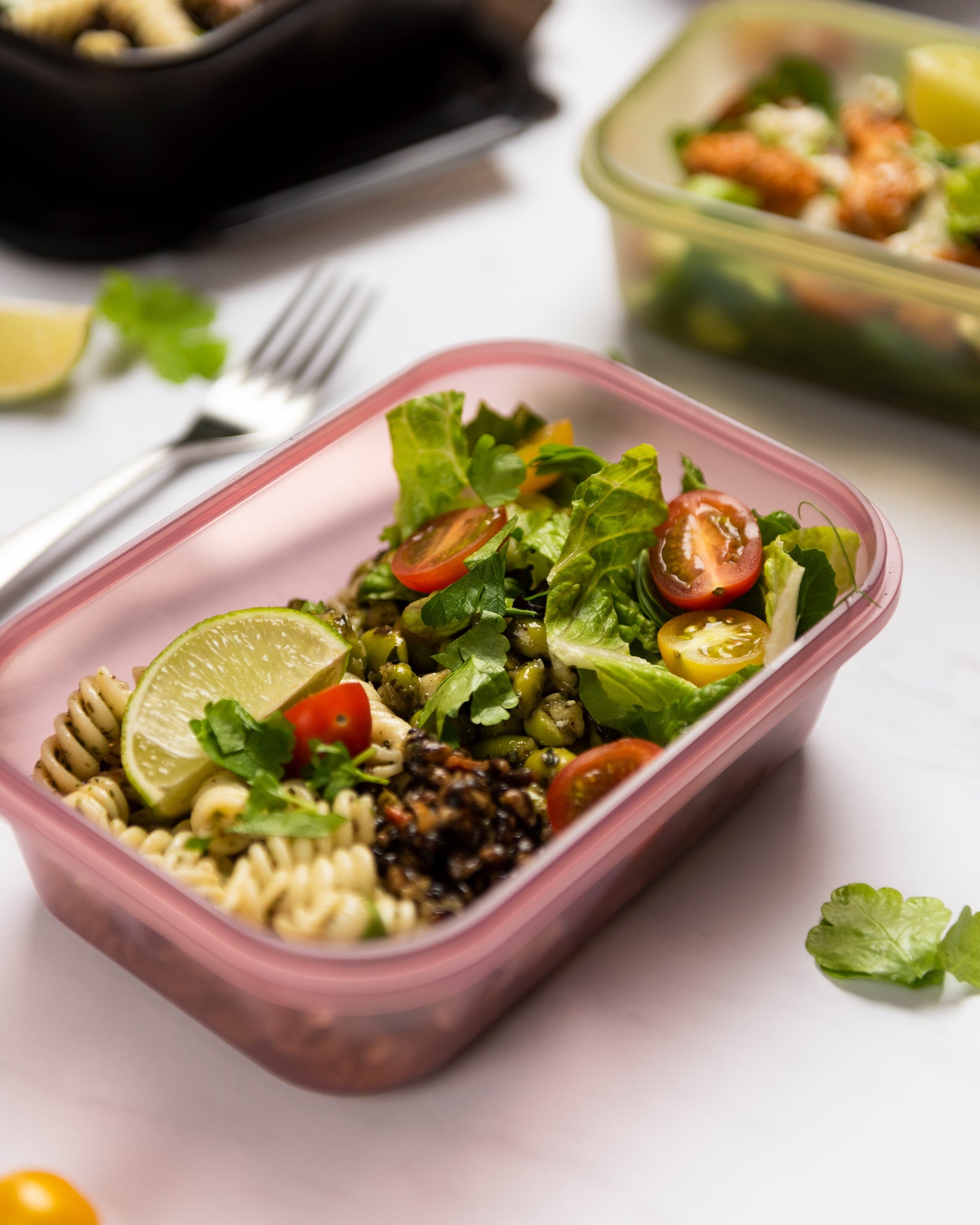 food-storage-container-deep-rose-j7 Smartshake_Food_Storage_Container_Deep_Rose_Lifestyle.jpg